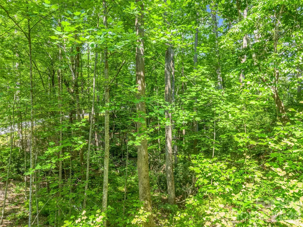Lot 82 Lakewood Drive Lake Lure NC 28746