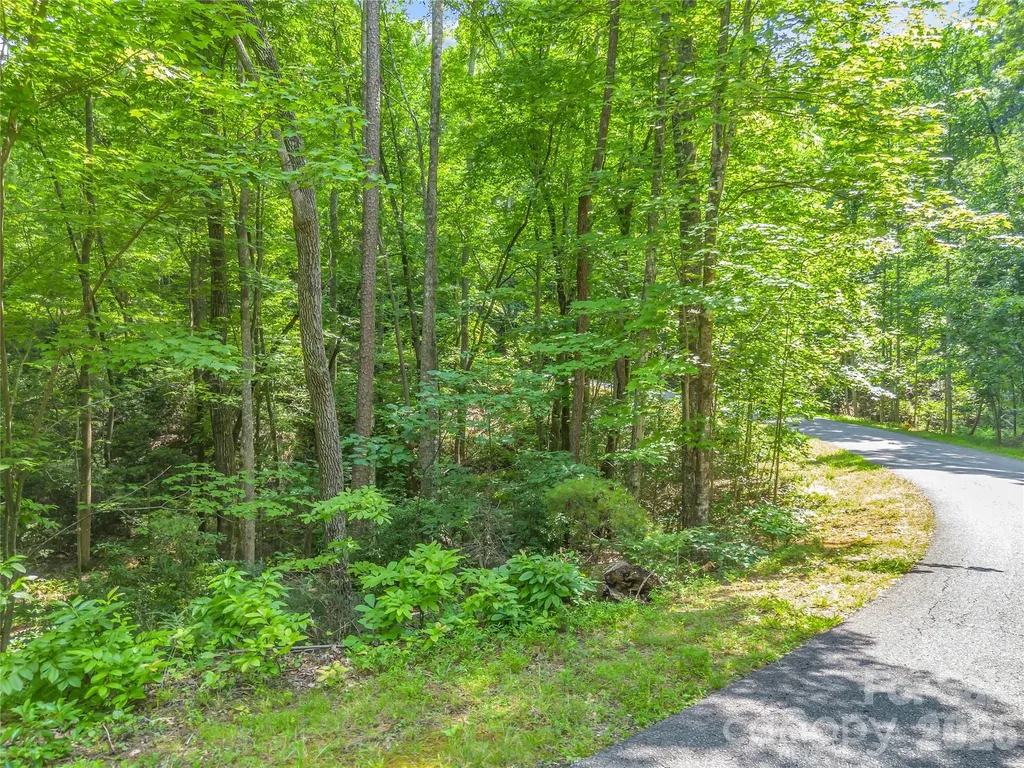 Lot 82 Lakewood Drive Lake Lure NC 28746