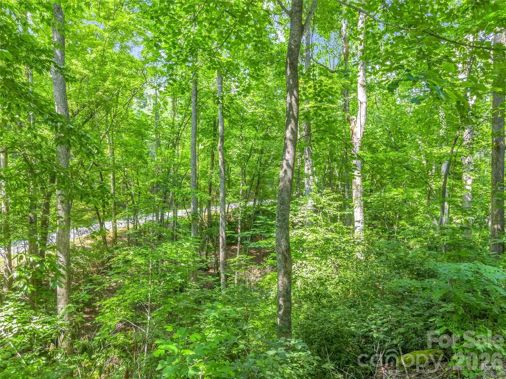 Lot 82 Lakewood Drive Lake Lure NC 28746