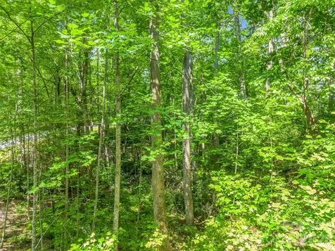 Lot 82 Lakewood Drive Lake Lure NC 28746