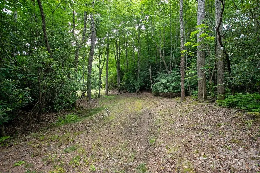 1571 Eagle Lake Drive Brevard NC 28712