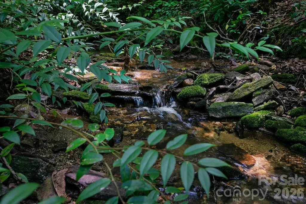1571 Eagle Lake Drive Brevard NC 28712
