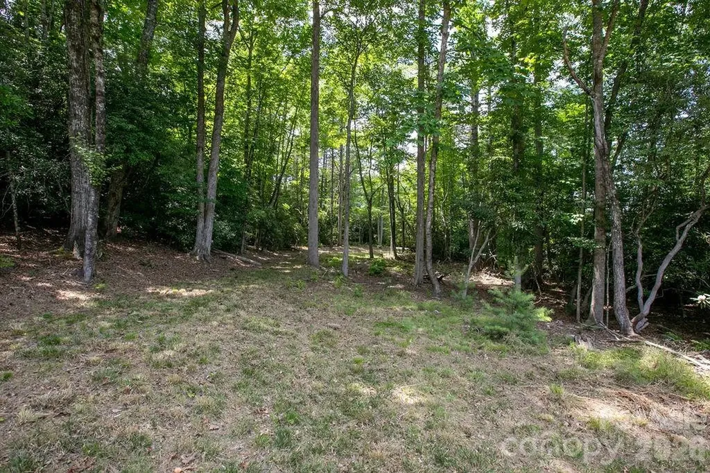 1571 Eagle Lake Drive Brevard NC 28712