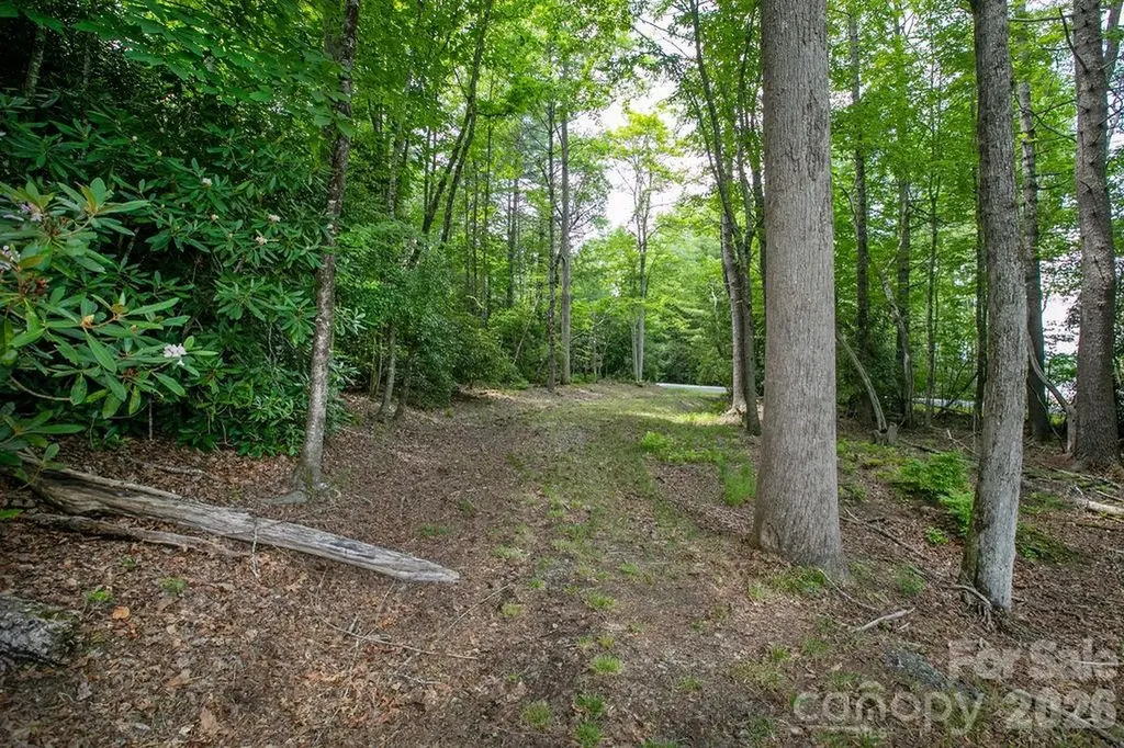 1571 Eagle Lake Drive Brevard NC 28712