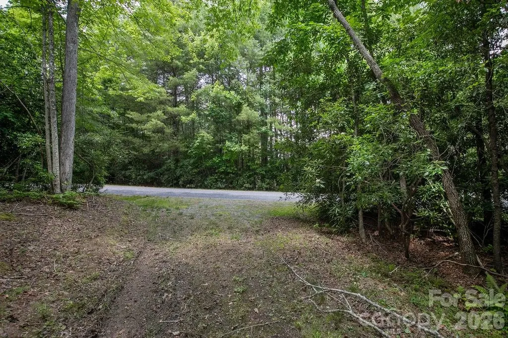 1571 Eagle Lake Drive Brevard NC 28712