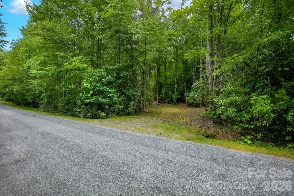 1571 Eagle Lake Drive Brevard NC 28712