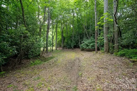 1571 Eagle Lake Drive Brevard NC 28712