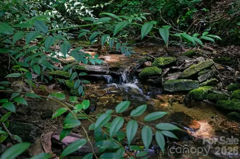 1571 Eagle Lake Drive Brevard NC 28712