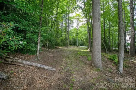 1571 Eagle Lake Drive Brevard NC 28712