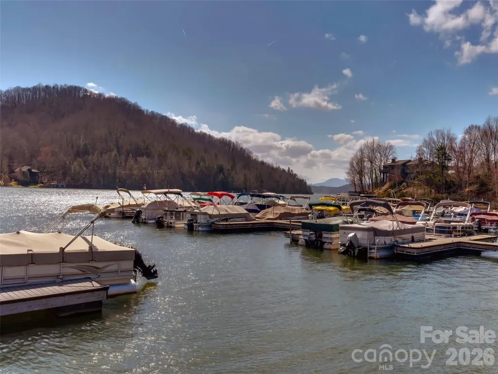 160 Whitney Boulevard Lake Lure NC 28746