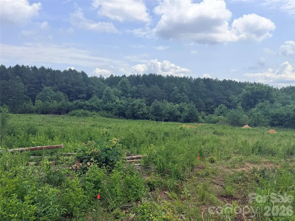 0 Doggett Grove Road Forest City NC 28043