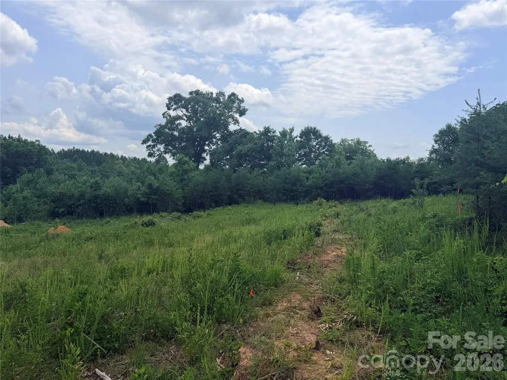 0 Doggett Grove Road Forest City NC 28043