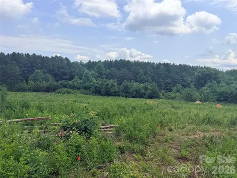 0 Doggett Grove Road Forest City NC 28043