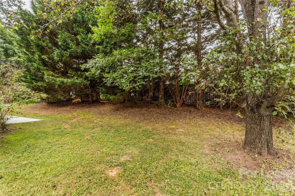 123 Meadow Lilly Court Mooresville NC 28115