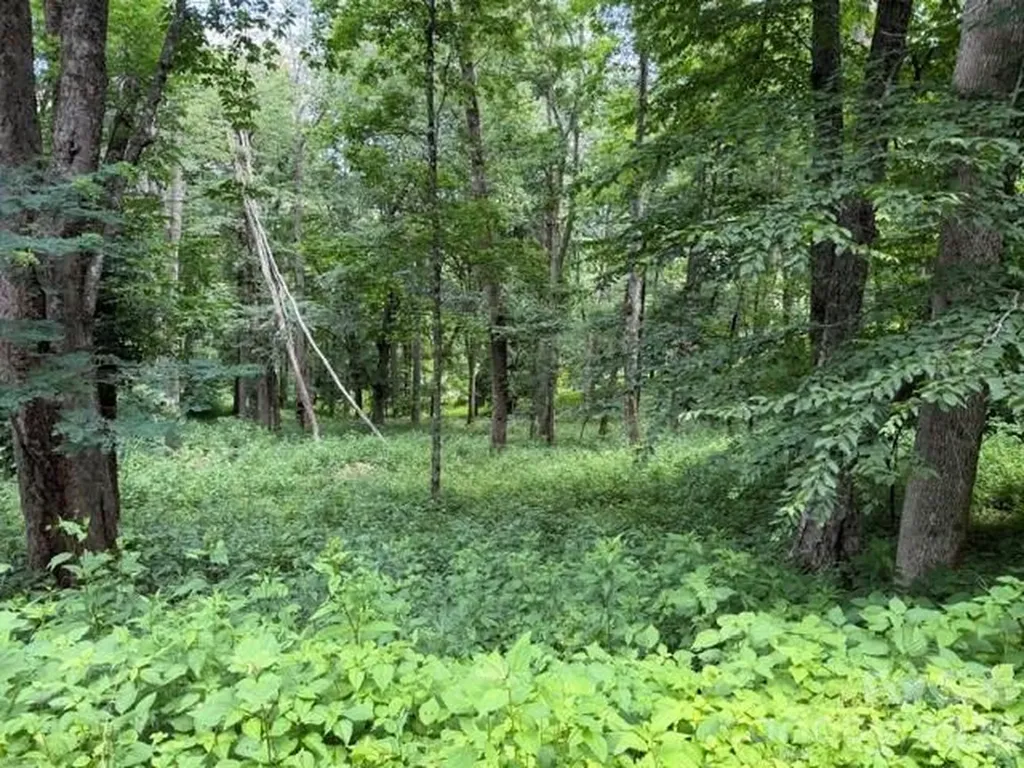 Lot 6 Gadohi Trail Maggie Valley NC 28751