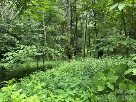Lot 6 Gadohi Trail Maggie Valley NC 28751