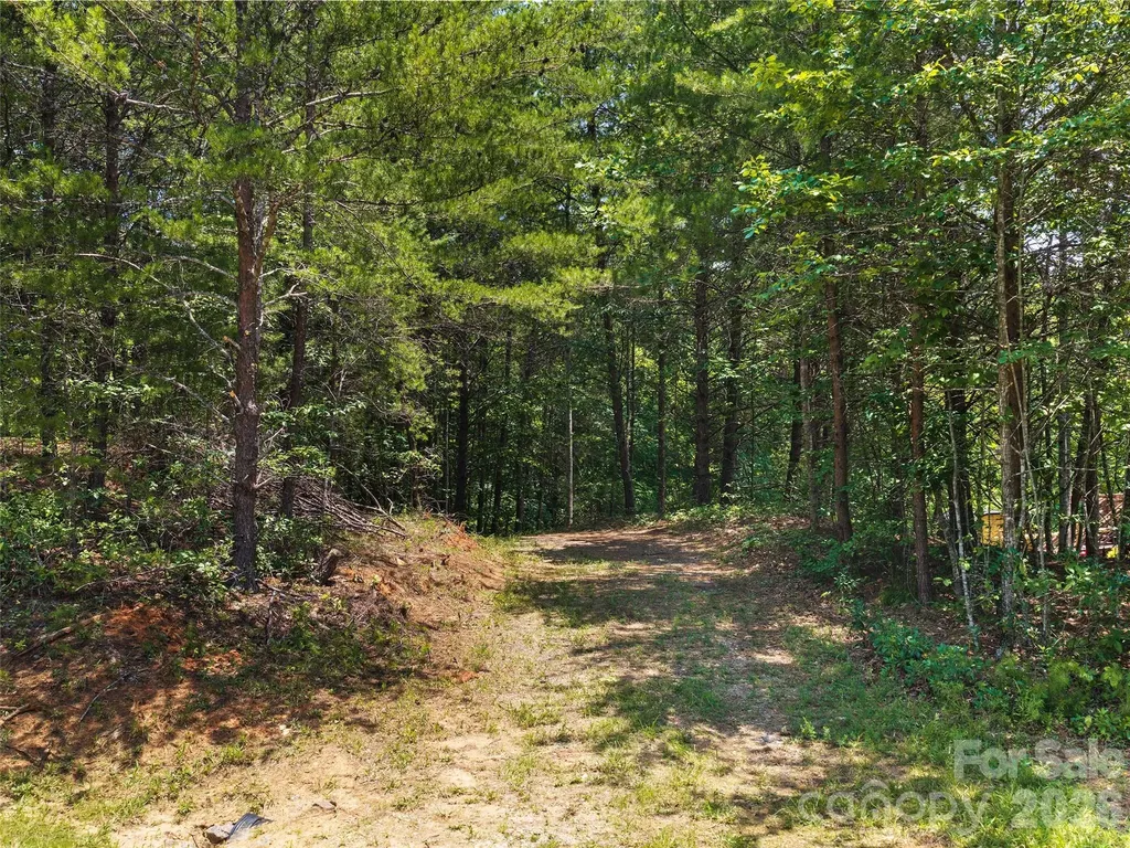 Lot 14 Parkway North Road Mill Spring NC 28756