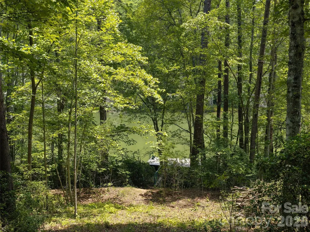 Lot 14 Parkway North Road Mill Spring NC 28756