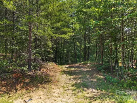 Lot 14 Parkway North Road Mill Spring NC 28756