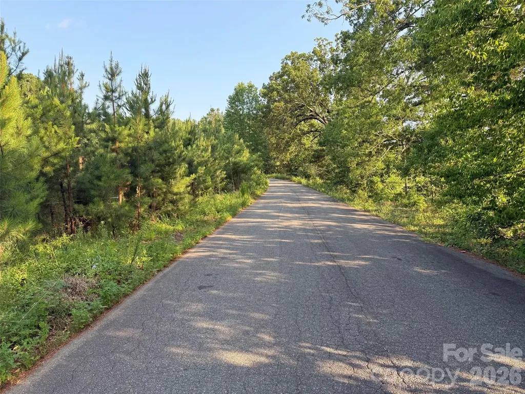 8169 Raccoon Track Drive Sherrills Ford NC 28673