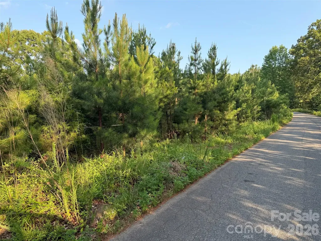 8169 Raccoon Track Drive Sherrills Ford NC 28673