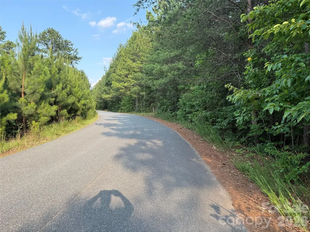 8169 Raccoon Track Drive Sherrills Ford NC 28673