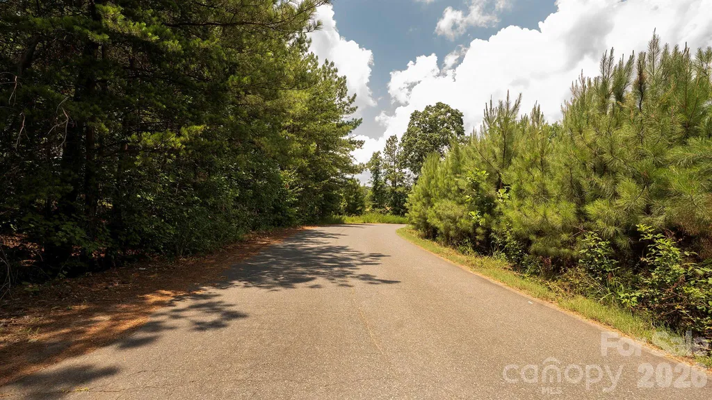 8169 Raccoon Track Drive Sherrills Ford NC 28673