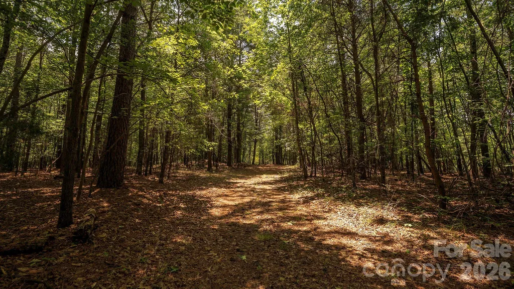 8169 Raccoon Track Drive Sherrills Ford NC 28673