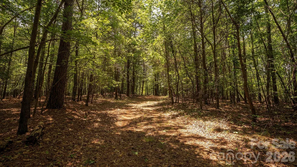 8169 Raccoon Track Drive Sherrills Ford NC 28673