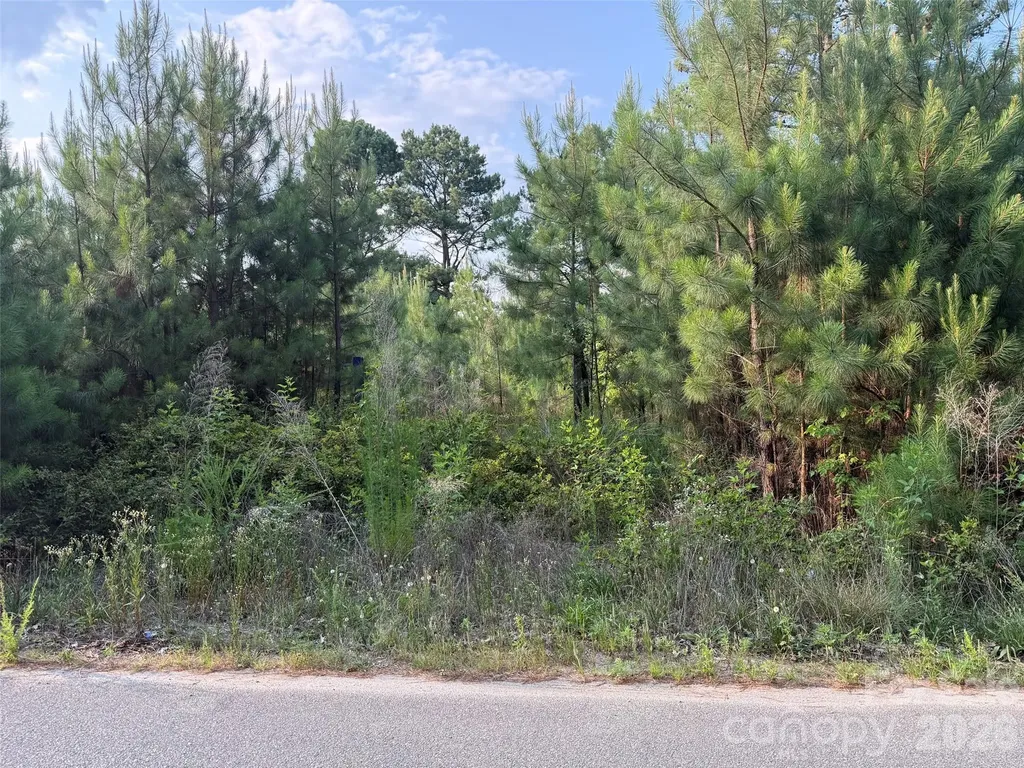8169 Raccoon Track Drive Sherrills Ford NC 28673