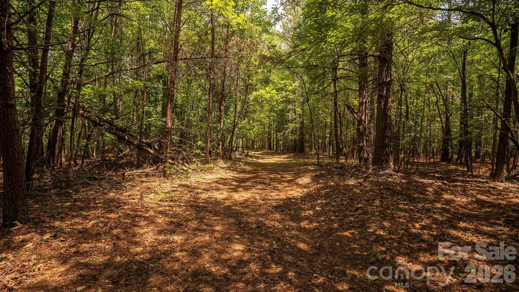 8169 Raccoon Track Drive Sherrills Ford NC 28673