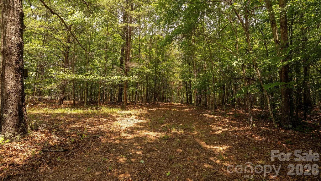 8169 Raccoon Track Drive Sherrills Ford NC 28673