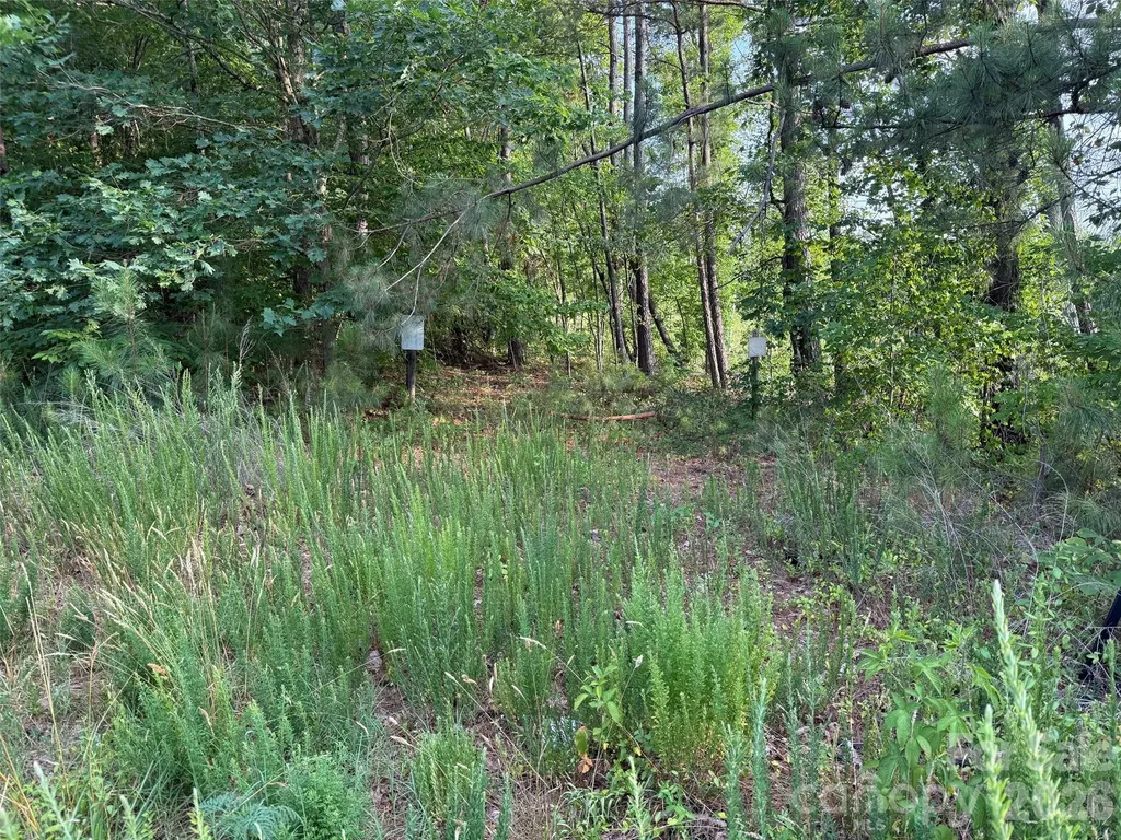 8169 Raccoon Track Drive Sherrills Ford NC 28673
