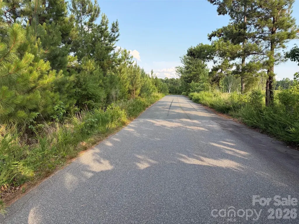 8169 Raccoon Track Drive Sherrills Ford NC 28673