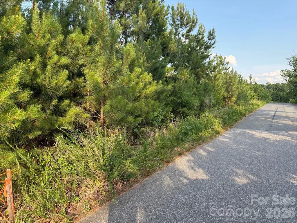 8169 Raccoon Track Drive Sherrills Ford NC 28673