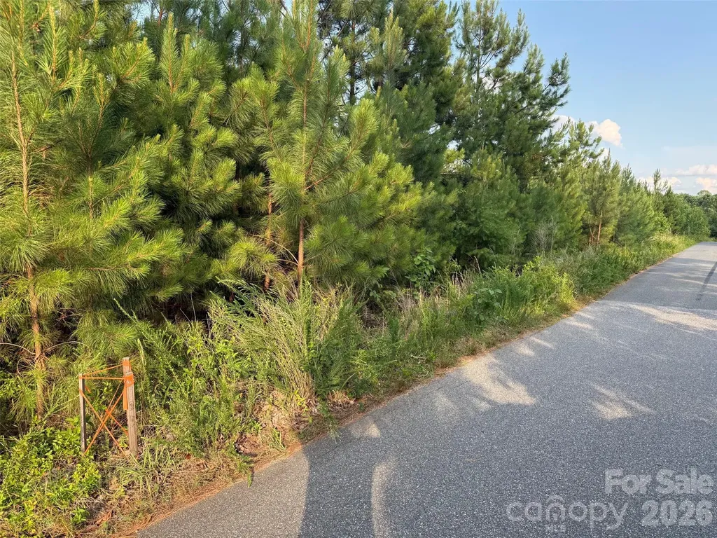 8169 Raccoon Track Drive Sherrills Ford NC 28673