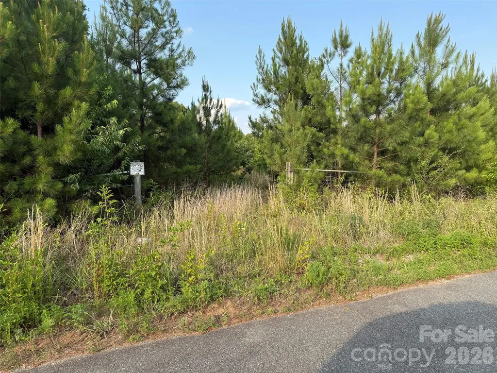 8169 Raccoon Track Drive Sherrills Ford NC 28673