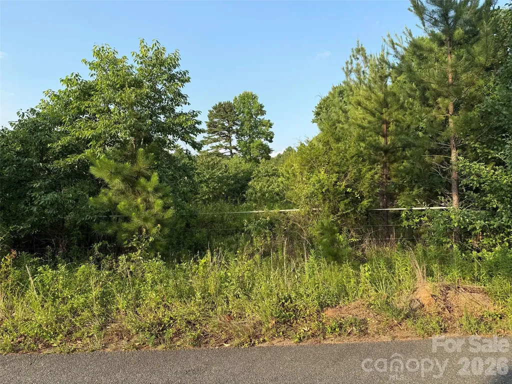 8169 Raccoon Track Drive Sherrills Ford NC 28673