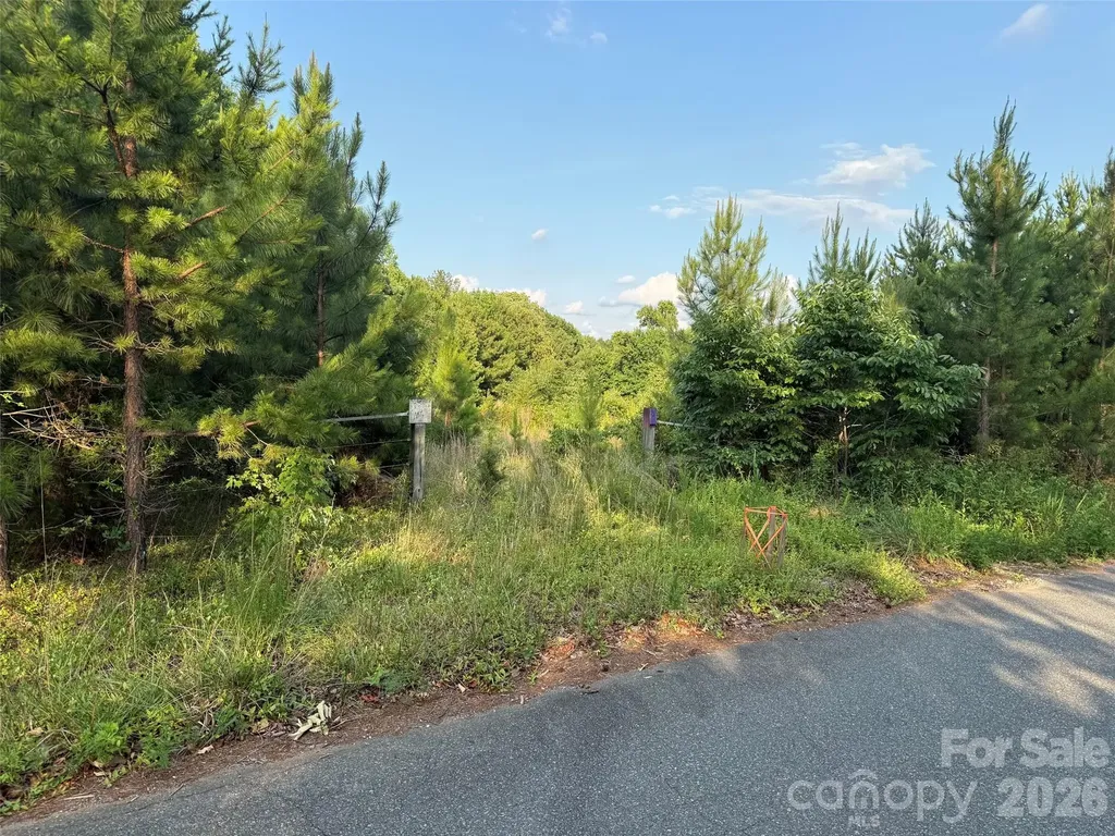 8169 Raccoon Track Drive Sherrills Ford NC 28673