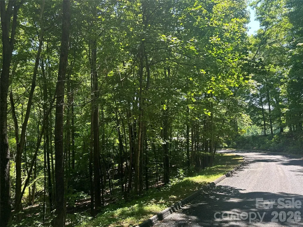 0 Knoll Court Lake Lure NC 28746