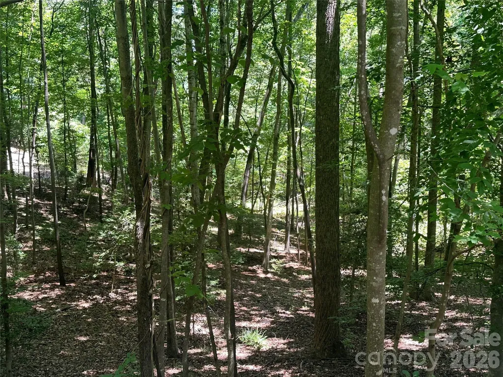 0 Knoll Court Lake Lure NC 28746