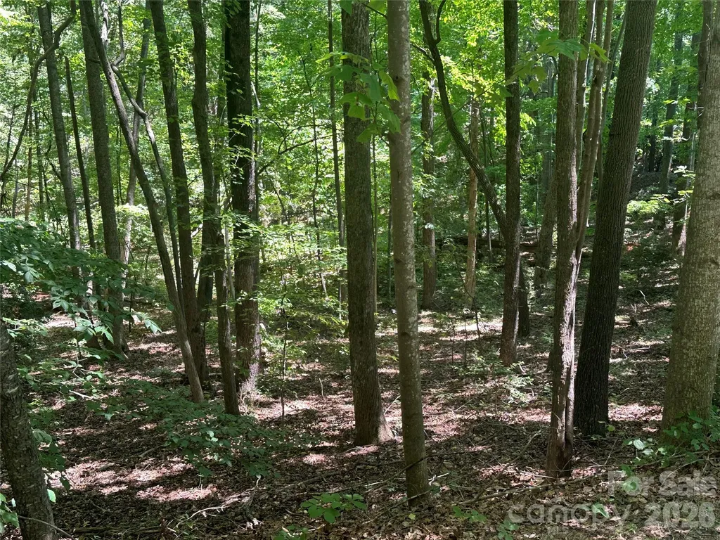0 Knoll Court Lake Lure NC 28746