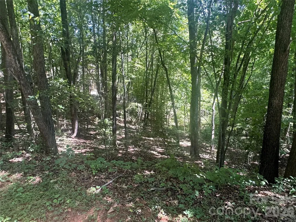 0 Knoll Court Lake Lure NC 28746