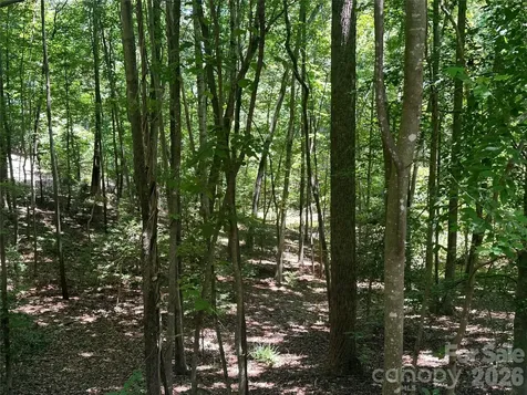 0 Knoll Court Lake Lure NC 28746