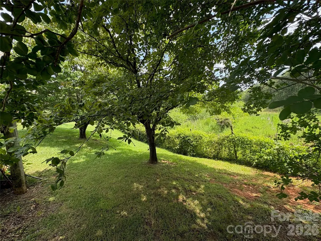 1812 Freemantown Road Lake Lure NC 28746