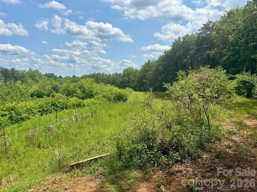 1812 Freemantown Road Lake Lure NC 28746