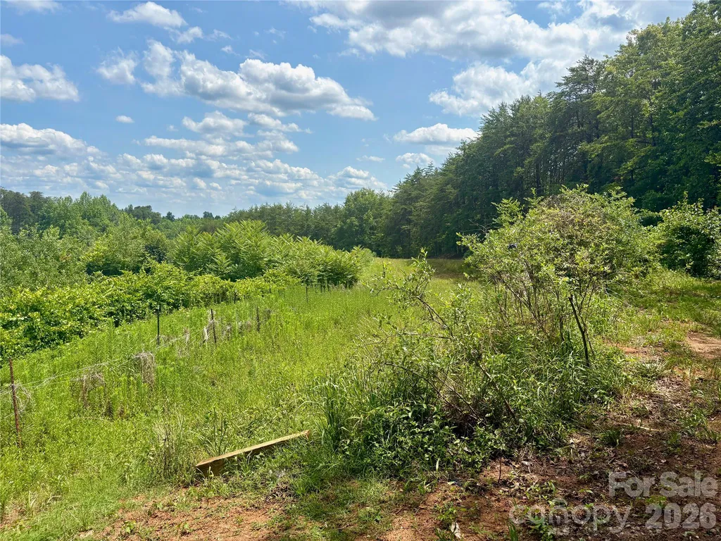 1812 Freemantown Road Lake Lure NC 28746