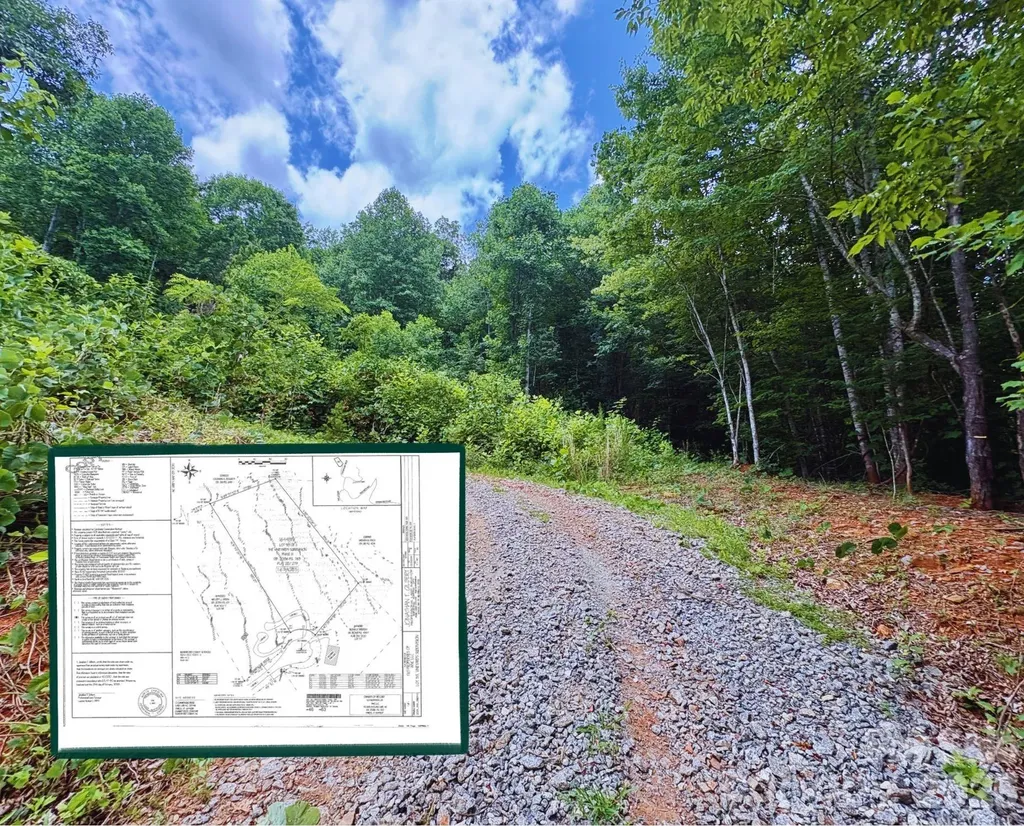 289 Champange Ridge Lake Lure NC 28746