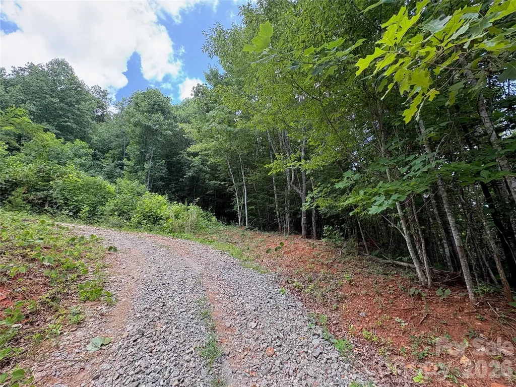 289 Champange Ridge Lake Lure NC 28746
