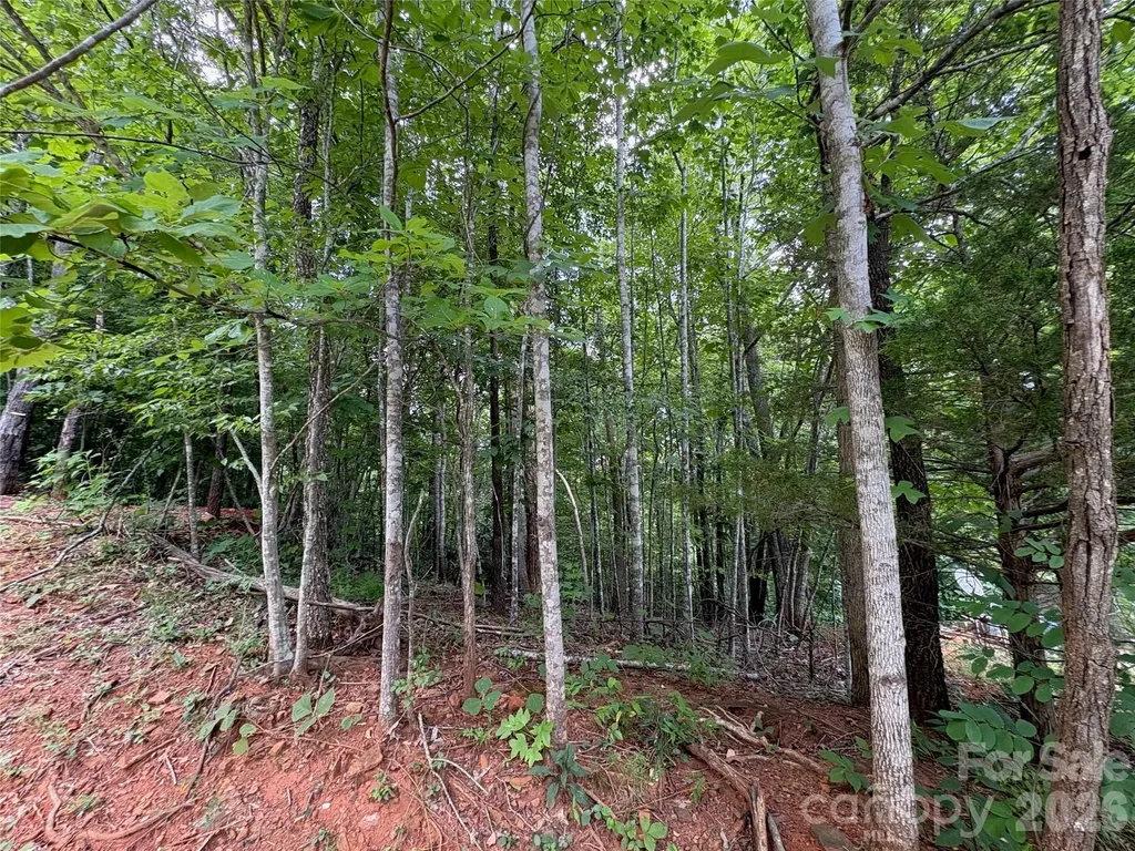289 Champange Ridge Lake Lure NC 28746
